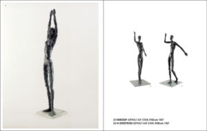 Buch Informationshygiene, Roman Buder, Seite 21