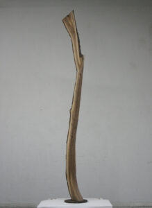 Ruder, 2005, 245 cm Schwarznuss